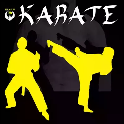 karate class graphic