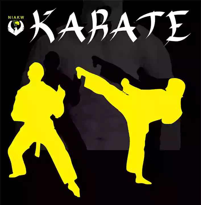 karate class graphic
